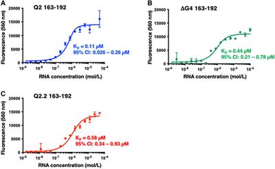 Biophysical characterisation of the Bcl-x pre-mRNA and binding specificity of the ellipticine derivative GQC-05: Implication for alternative splicing regulation